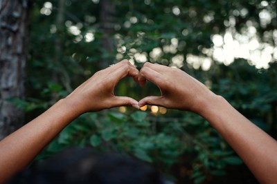 Pair of hands making a heart shape with the fingers.  The background is a woodland of green trees