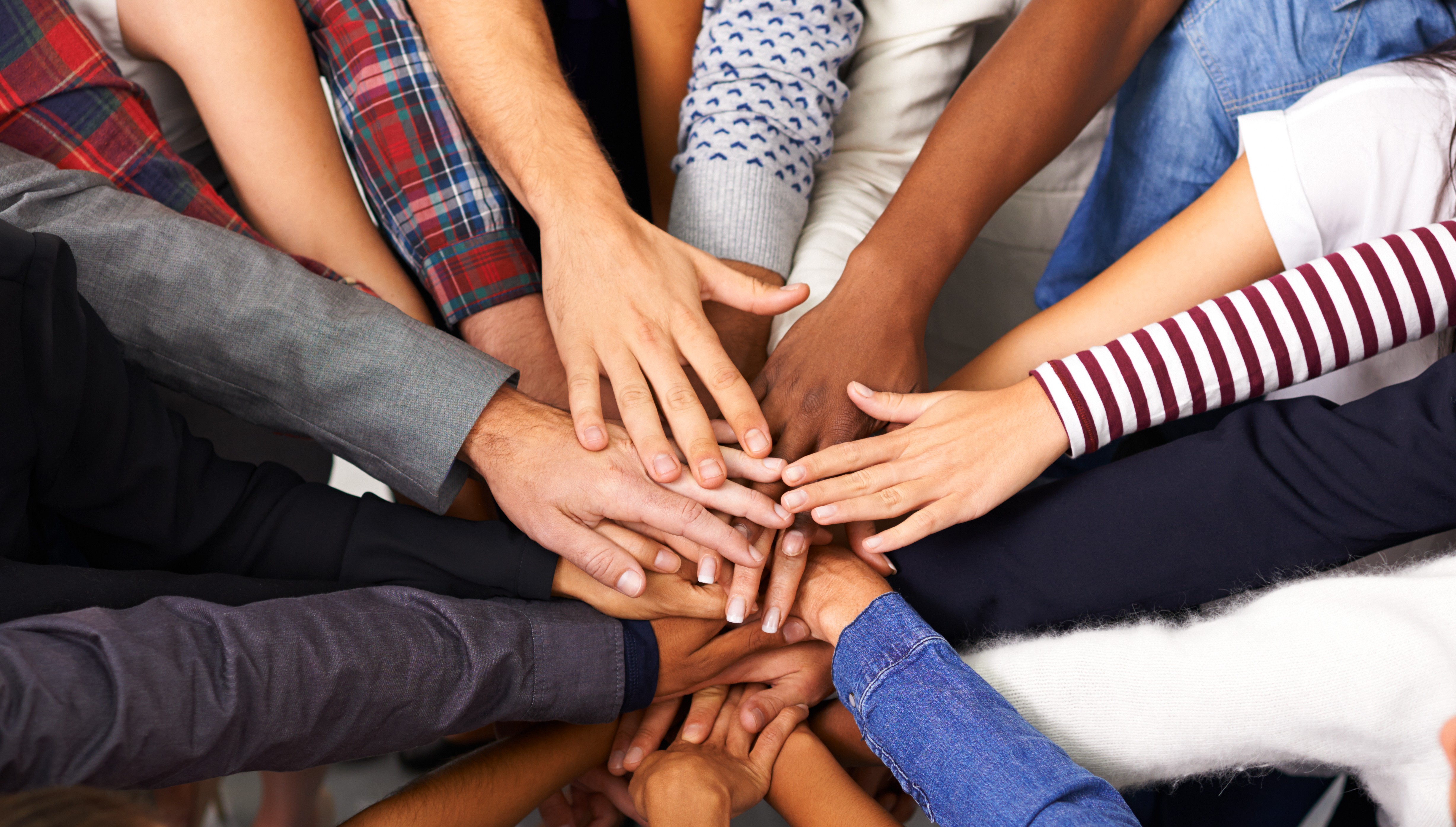 Primary Image Cropped